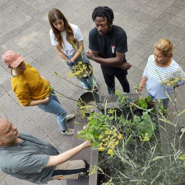 INSEL Kulturgarten Erdfest 2023_1